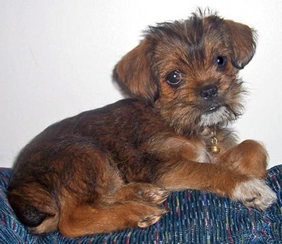 Homestead Strike of 1892