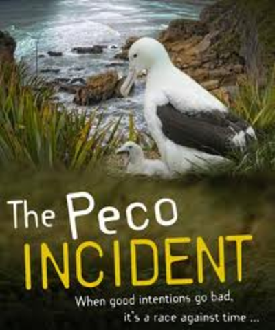The Peco Incident