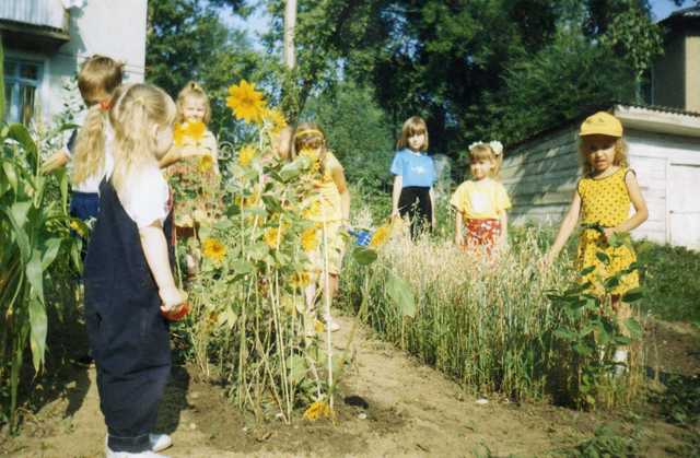 Организация развивающй среды