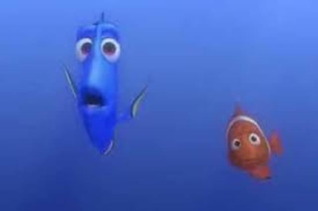 Finding nemo