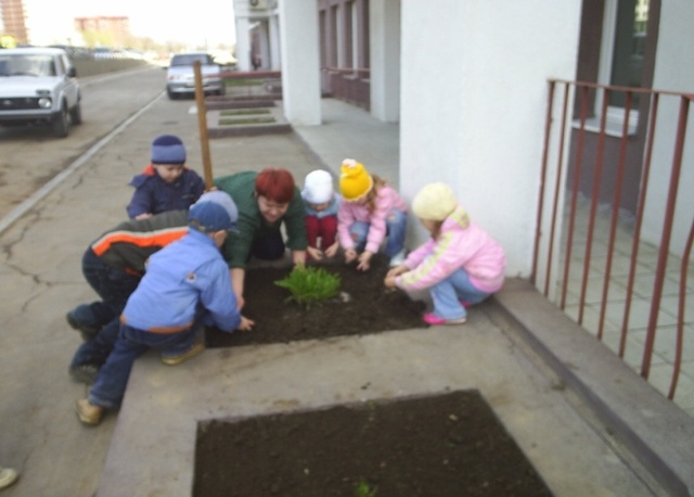 Участие в акции "Помоги ветерану"