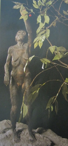 För-människan. 4 miljoner år sedan