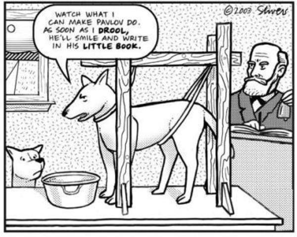 Pavlov's Dog Experiment