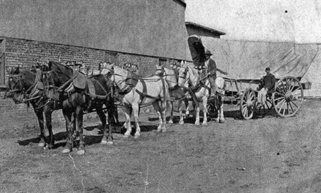 i bought some transportation