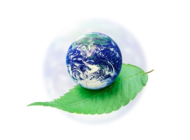 New-World environment(Puritans)
