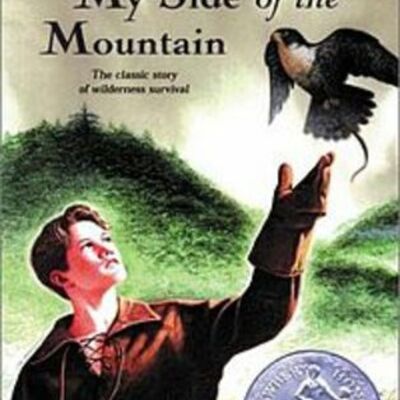 Timeline: My side of the mountian