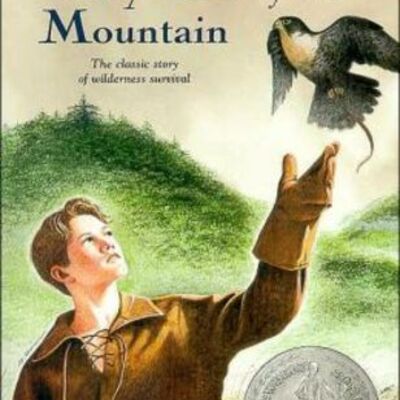 Timeline: "My side of the mountain"