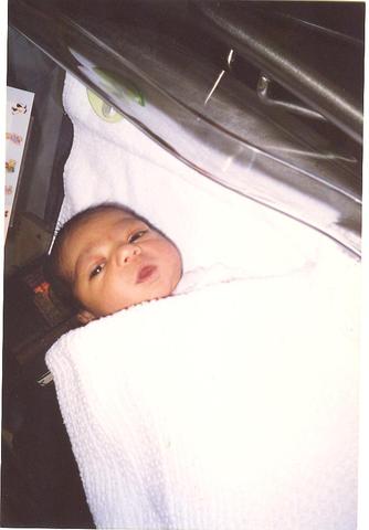 The year  I   was  born