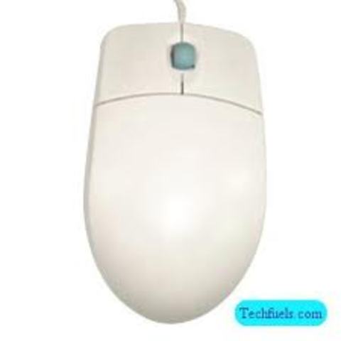 Computer Mouse and Windows