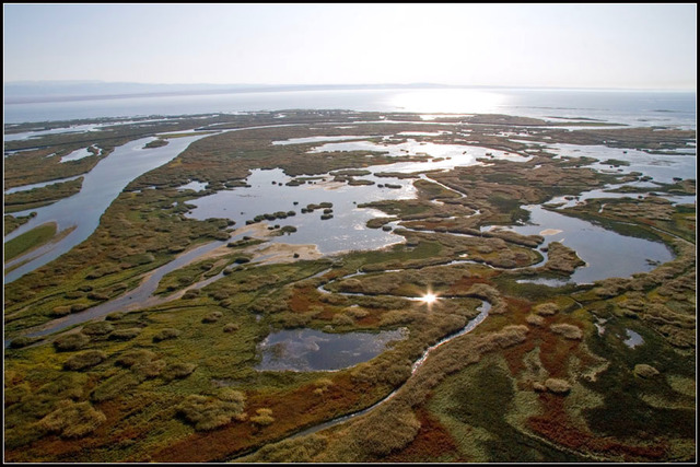 Поездка в степи за Иртышом. Написаны "Адам и Ева"и "Чёрный араб"