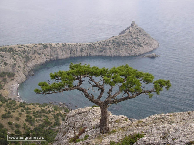 Поездка в Крым. Сборник "Заворошка". Написана повесть "Славные бубны"