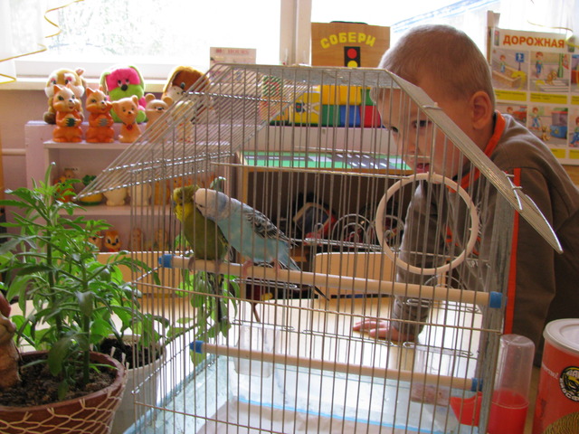 Развивающая среда