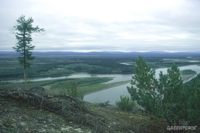 Поездка на Дальний Восток по командировке редакции газеты "Известия"
