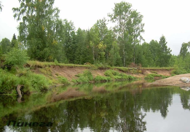 Поездка в северные леса: Вологда, Архангельск и по реке Пениге. Очерки "Берендеева роща" Сборник "Зверь-бурундук"