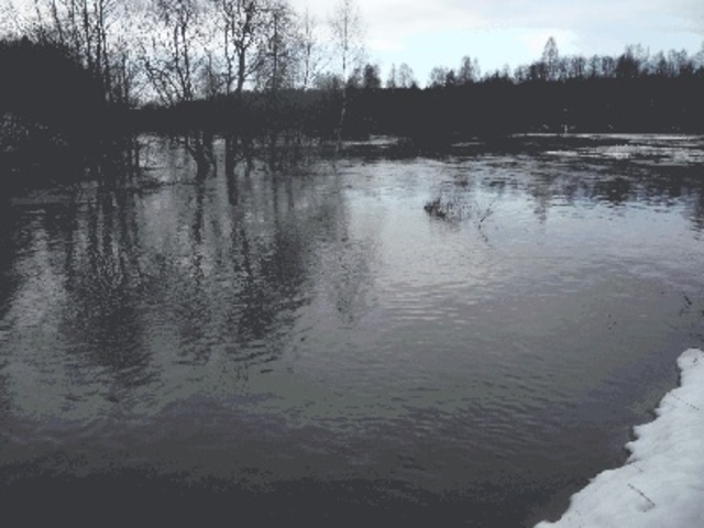 Поездка на автомашине в Кострому на весенний разлив за материалами к роману "Оскдарева дорога"