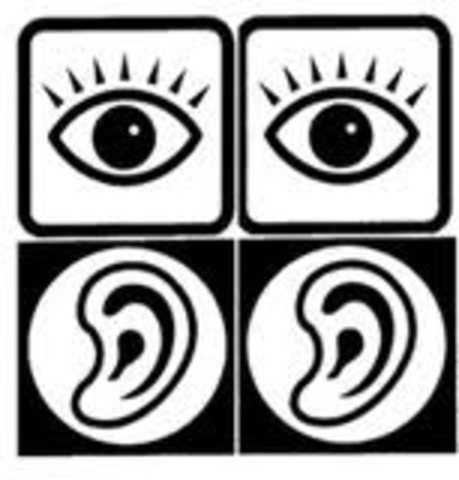 Development of the Senses