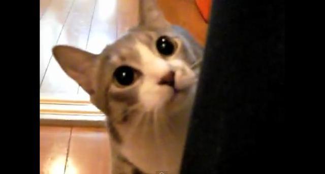 Connor picks up a stalker