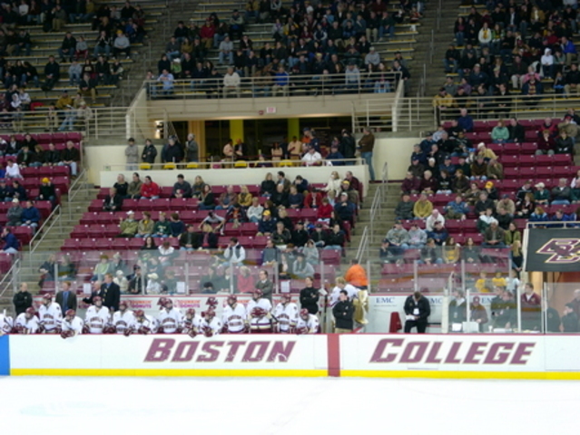 First Hockey game in the stands