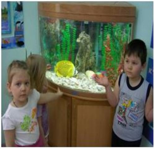 Опорная площадка по экологическому воспитанию