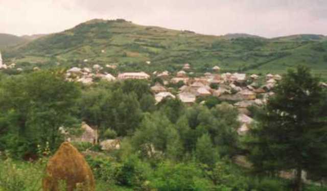 A waning  from moishi the beatle