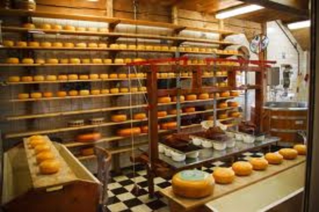 First Cheese Factory in USA