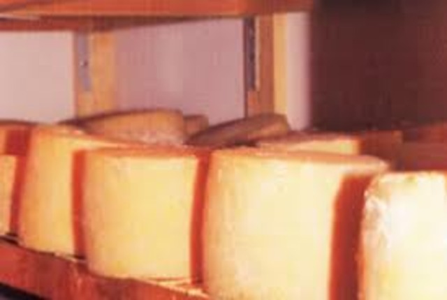 cheese expands through europe