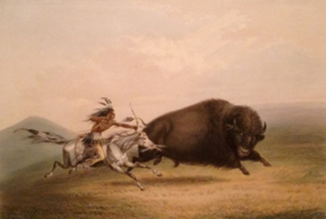 Buffalo Hunt, Chase #5