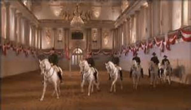 Vienna is the only place where the High School of Classical Horsemanship exists