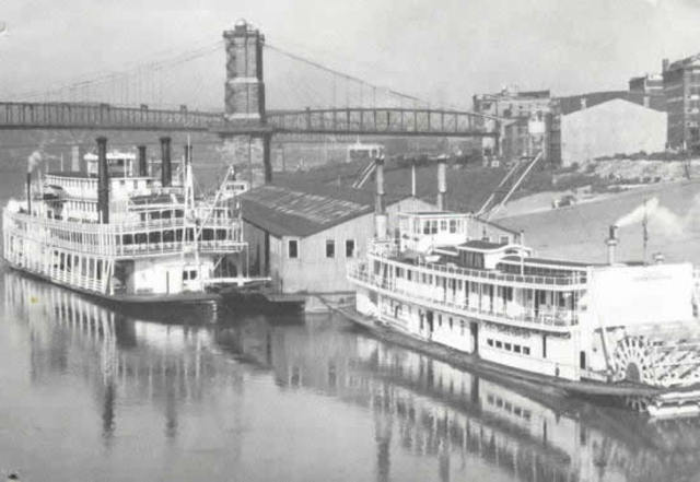 Greene Line Steamers