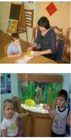 Приоритетные направления деятельности