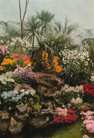 First All-Color Issue