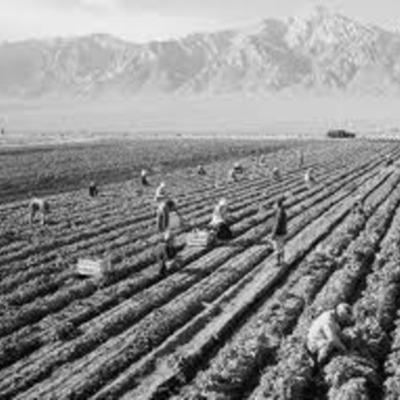 Timeline: Changes in farming between 1700-1900 destiny and riley