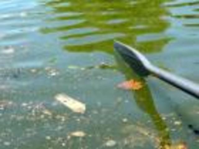 Metropolis Water Act