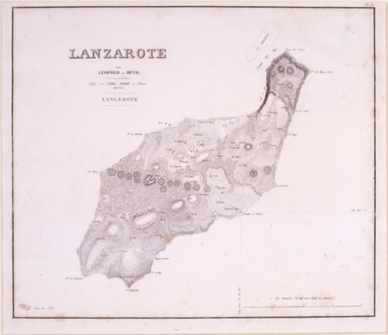 Lancelloto Malocello