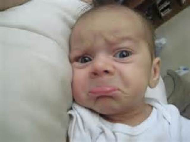 12 months/ 1 year old