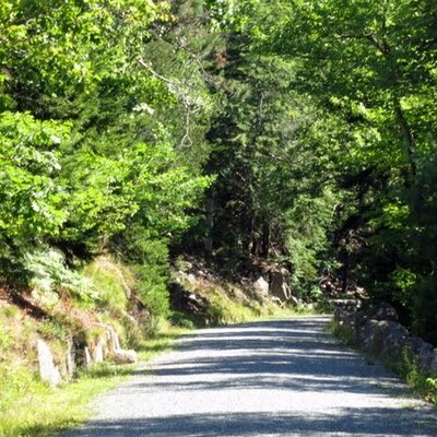 Timeline: OGHS Mikayla Gorham and Emily