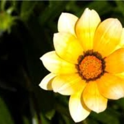 Timeline: special stages