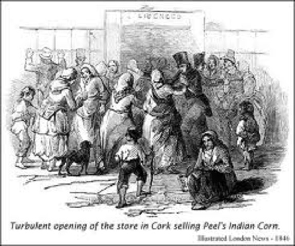 Potato famine begins in Ireland