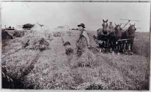 New Job and New Wife outside of San Francisco