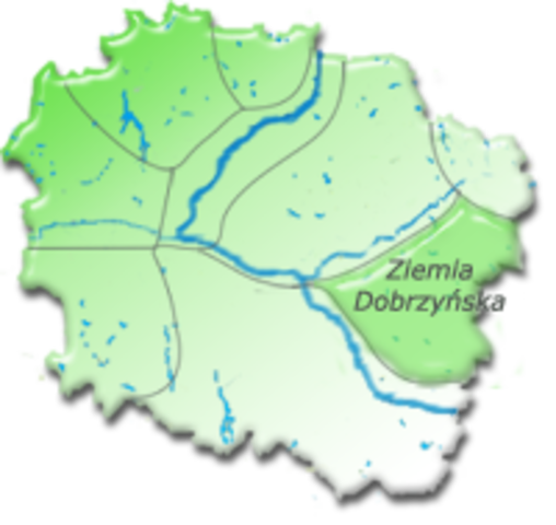 Krzyżacy zagrabiają ziemię dobrzyńską