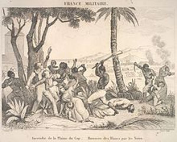 Haitian Slaves freed