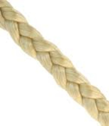 Gabriella Cut Off Her Hair