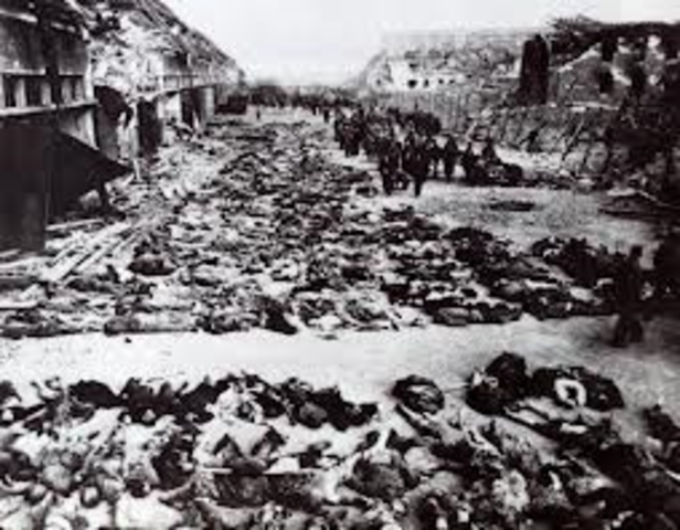 Holocaust