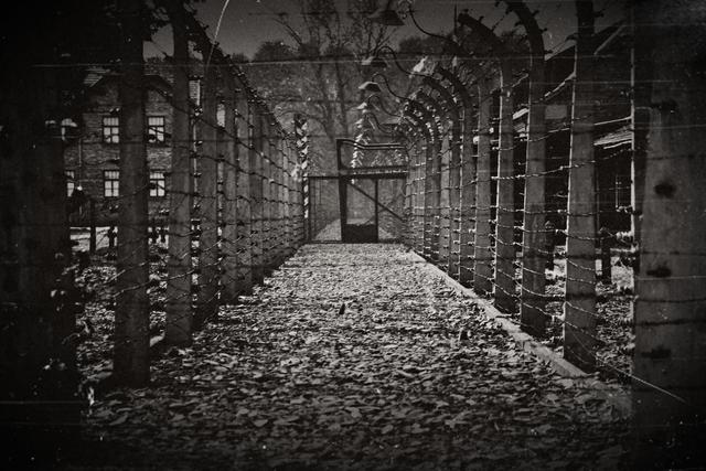 The End of Edith Frank