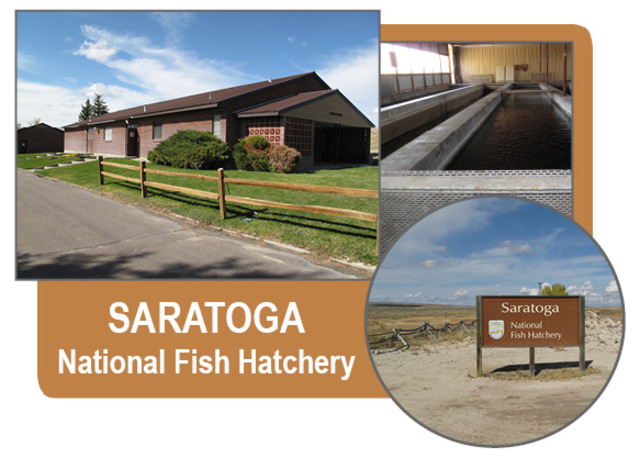 American victory at the Battle of Saratoga