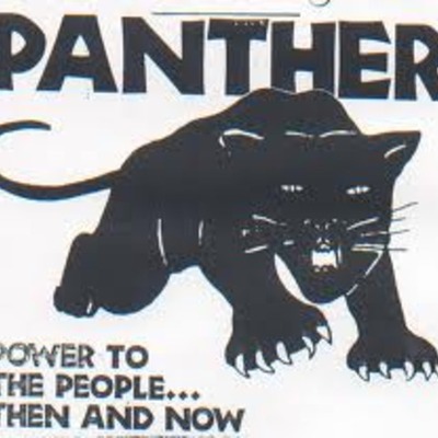 Timeline: Black Panthers