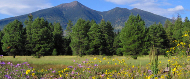Celebré la Pascua con mi hermana en Arizona