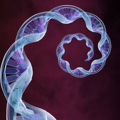 Timeline: Evolution of Genomics