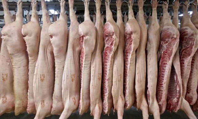 Découverte de cheval dans des burgers en Irlande