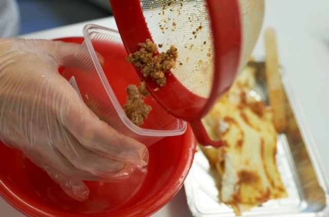 Les lasagnes Findus mises en cause